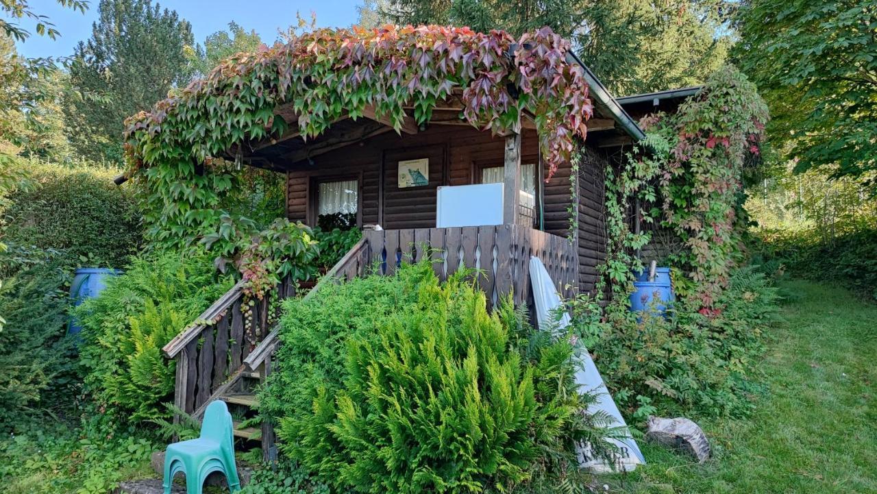 Café Pension Sonnenkanzel Staatsbad Brückenau Extérieur photo